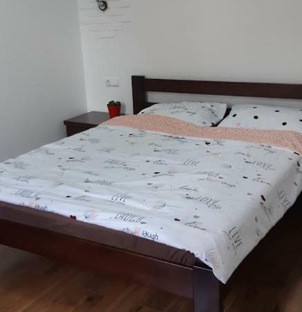 Transfer Apartment Lviv Dış mekan fotoğraf