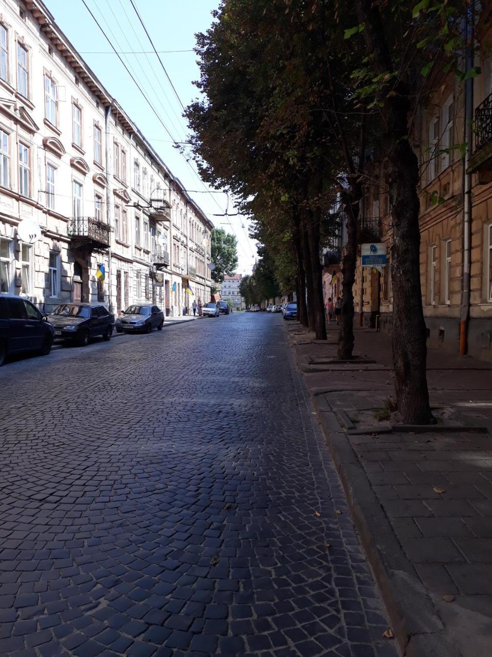 Transfer Apartment Lviv Dış mekan fotoğraf
