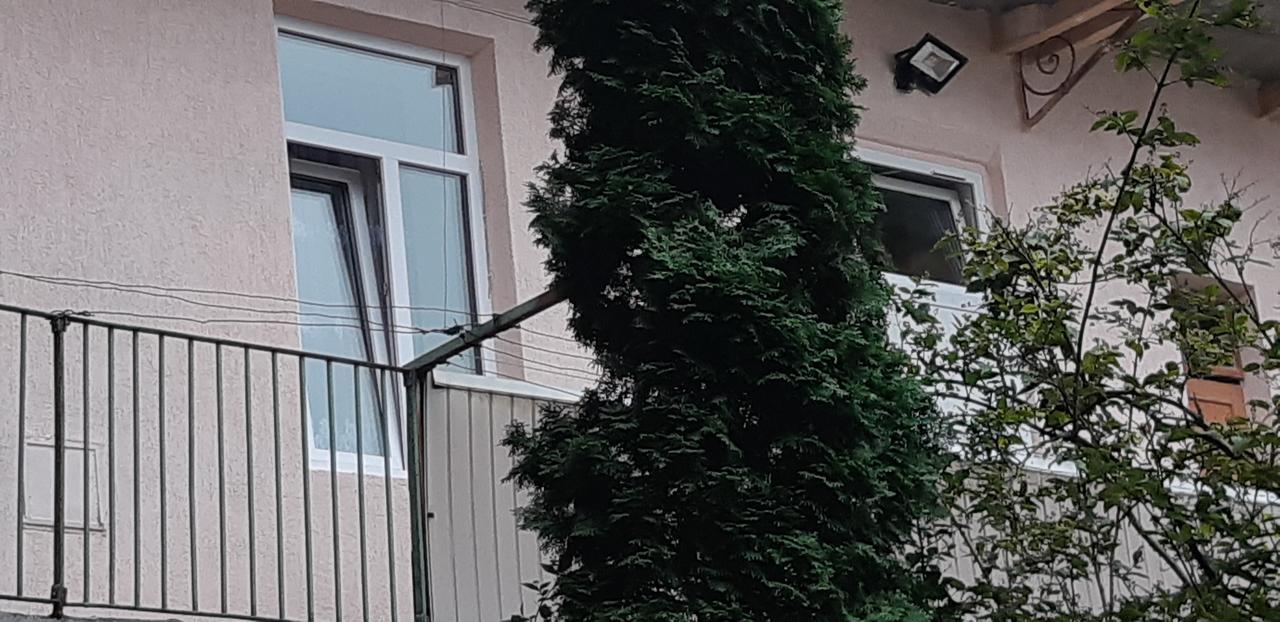 Transfer Apartment Lviv Dış mekan fotoğraf