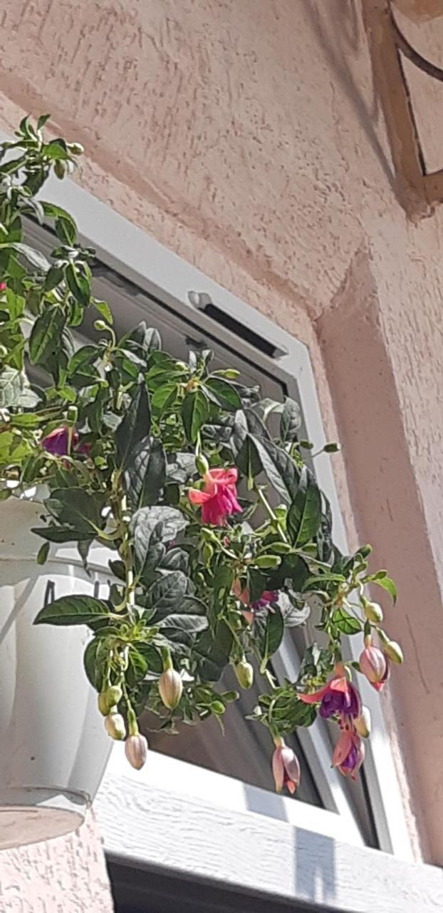 Transfer Apartment Lviv Dış mekan fotoğraf